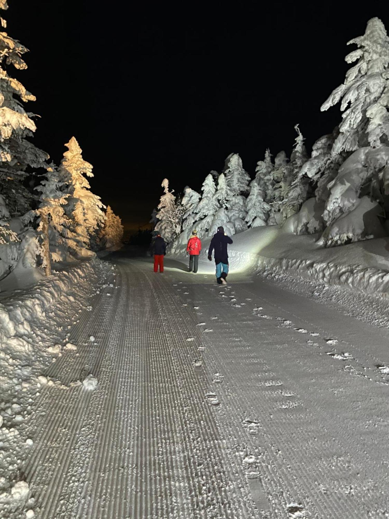 יאמנוצ'י Shiga Kogen Lodge מראה חיצוני תמונה