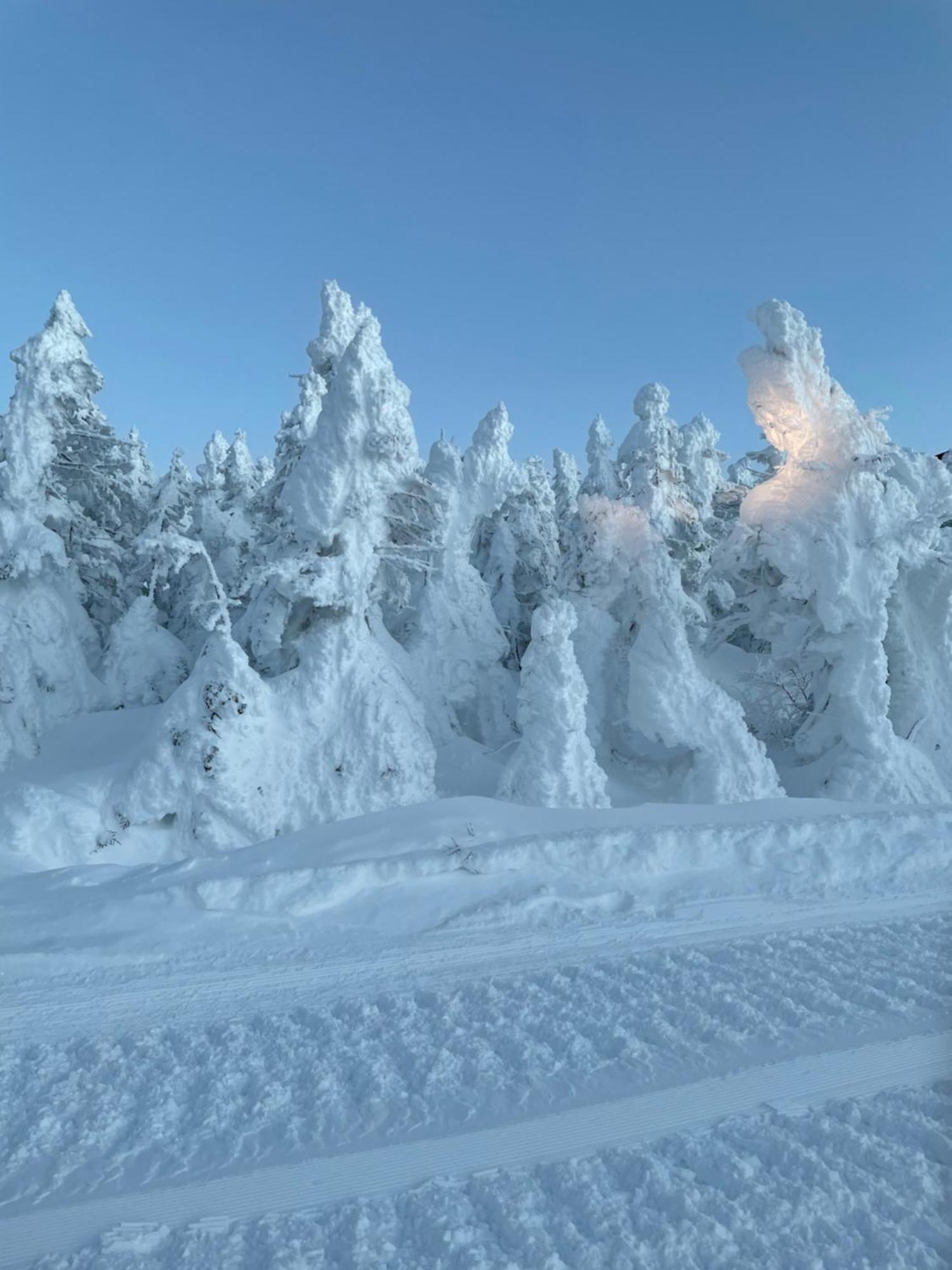 יאמנוצ'י Shiga Kogen Lodge מראה חיצוני תמונה