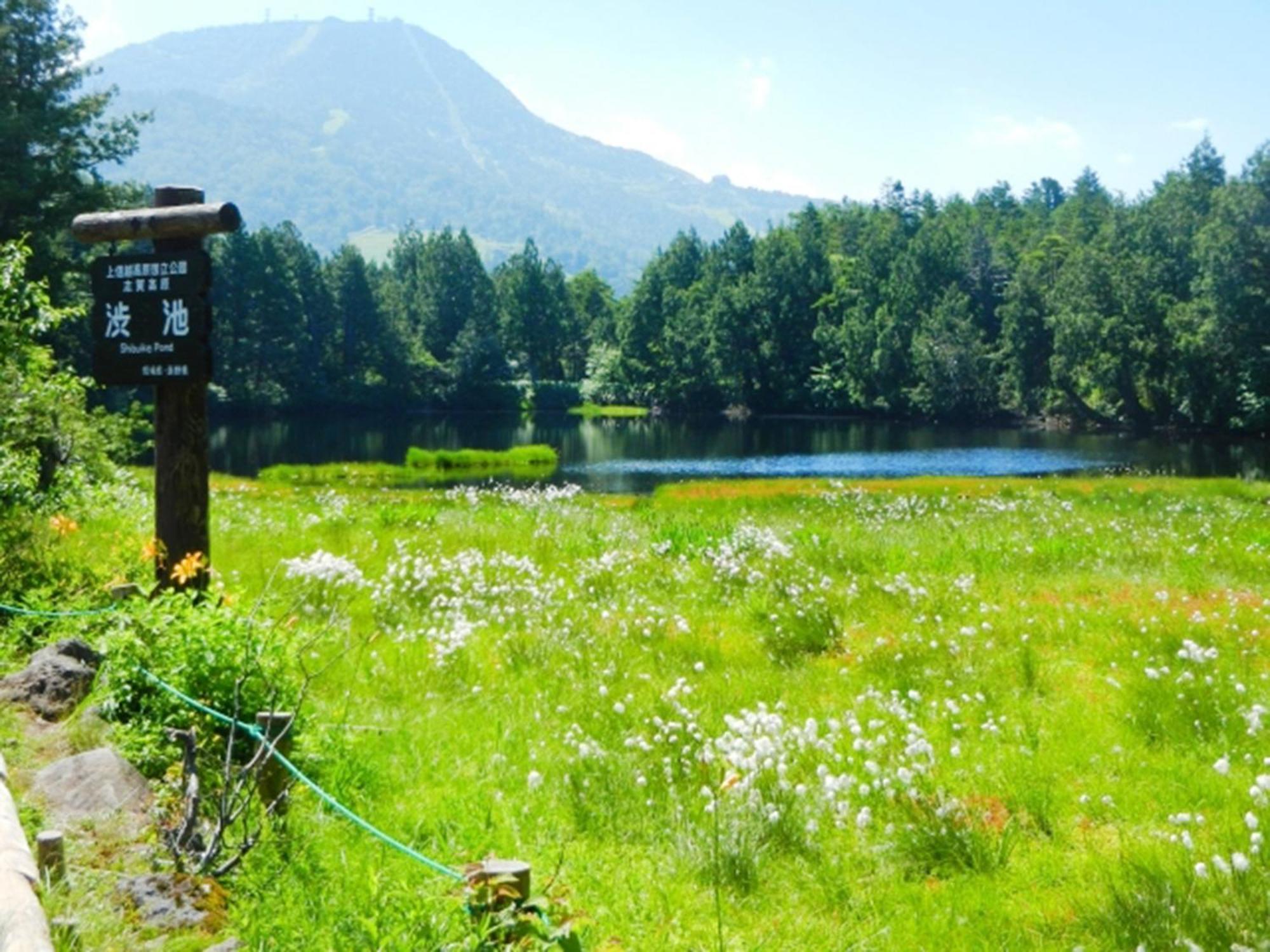 יאמנוצ'י Shiga Kogen Lodge מראה חיצוני תמונה