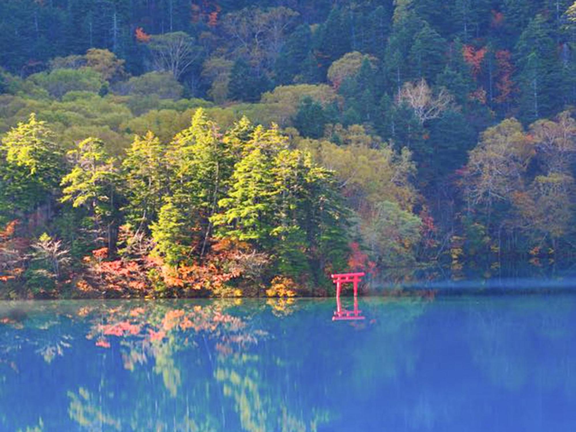 יאמנוצ'י Shiga Kogen Lodge מראה חיצוני תמונה