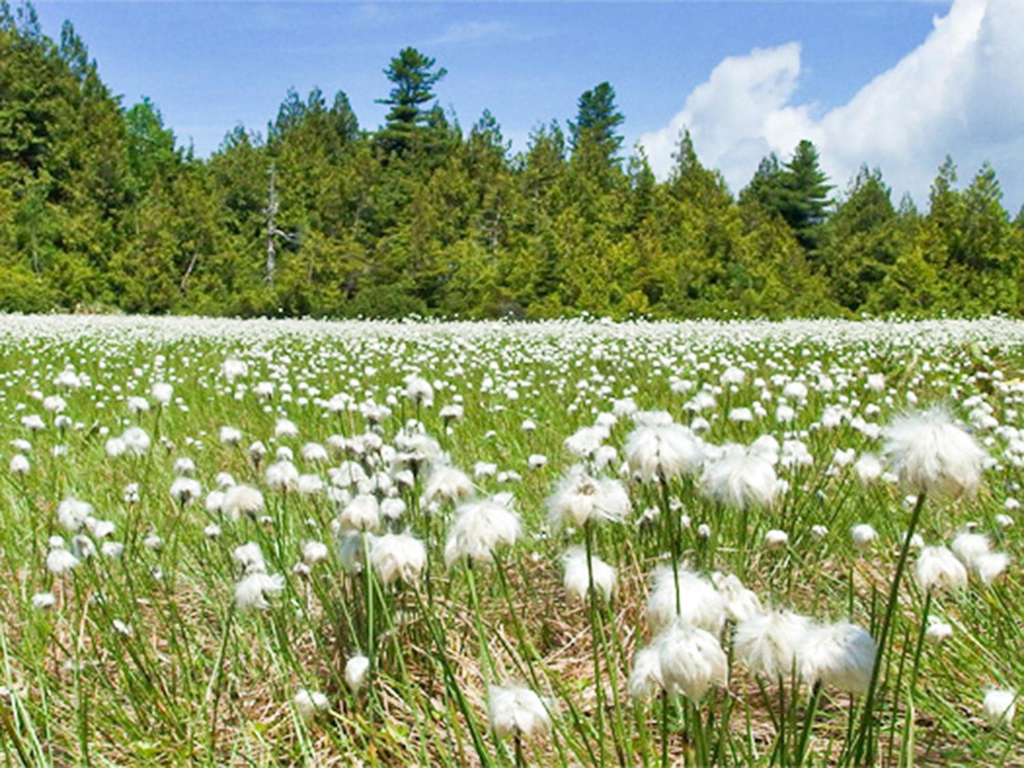 יאמנוצ'י Shiga Kogen Lodge מראה חיצוני תמונה